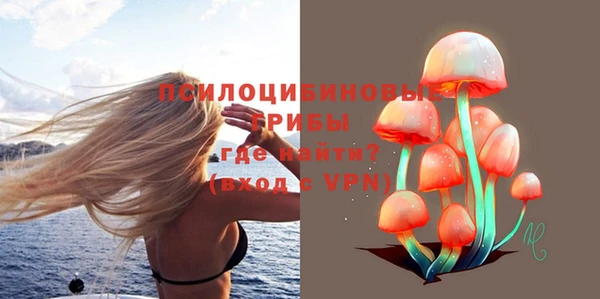 прущие грибы Абдулино