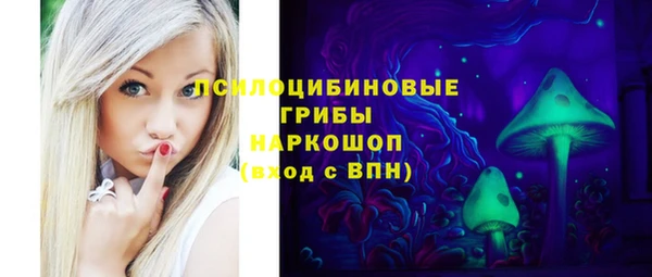 гидра Алексеевка