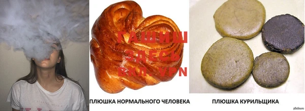 гидра Алексеевка