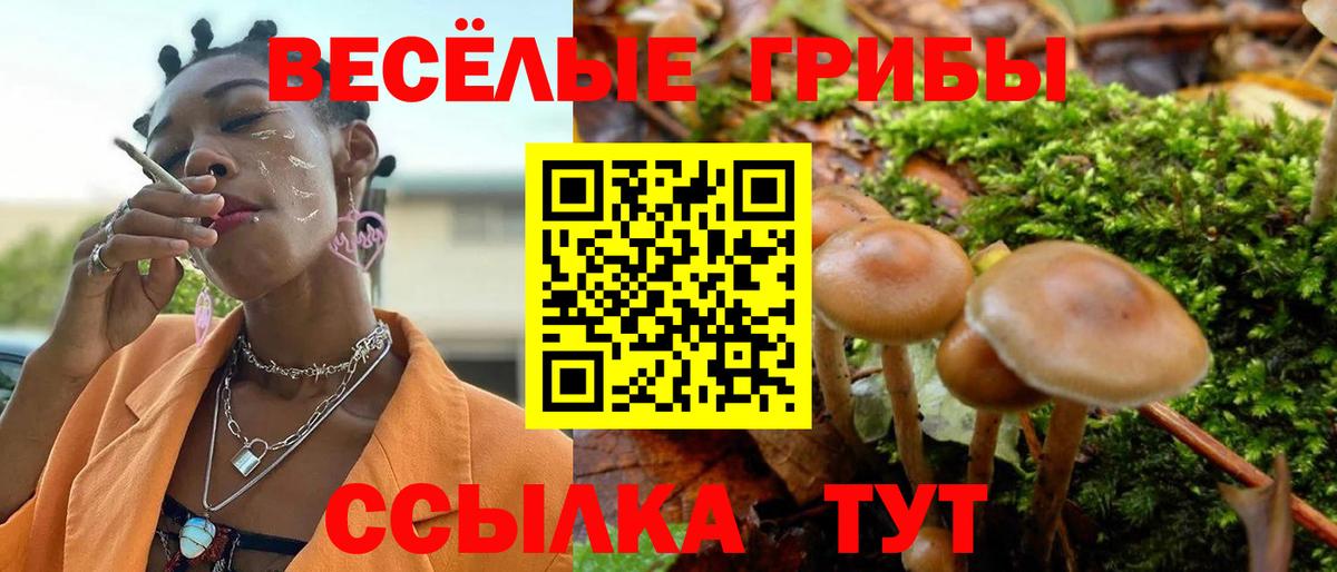 Ангарск  Галлюциногенные грибы MAGIC MUSHROOMS  Галлюциногенные грибы мицелий  хочу наркоту  Вход с VPN 