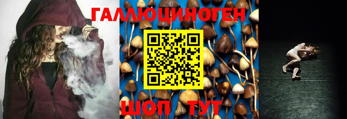 Галлюциногенные грибы Psilocybine cubensis Ангарск